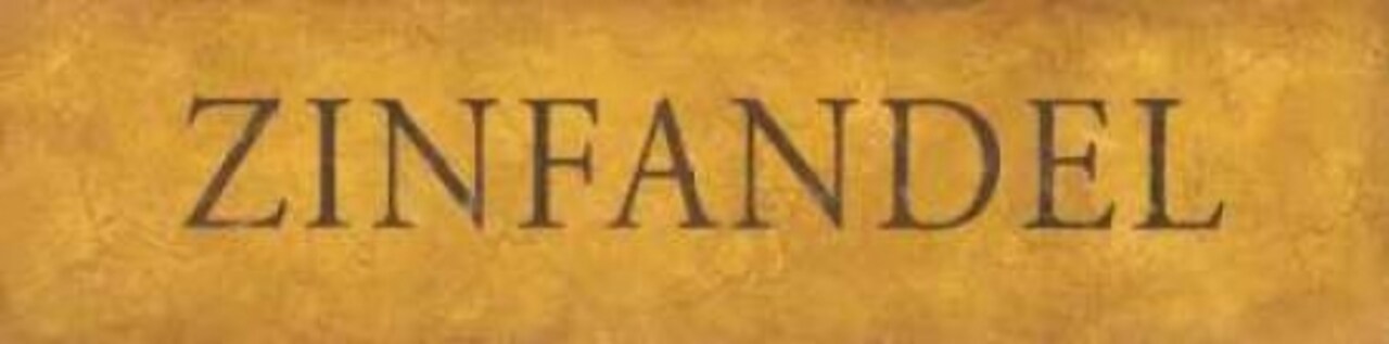 Zinfandel Poster Print by Stephanie Marrott - Item # VARPDXSM098